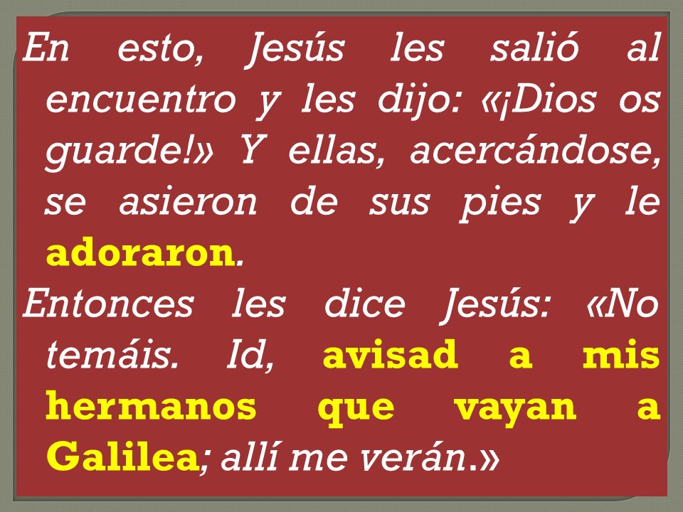 En esto, Jesús les salió al encuentro y les dijo: «¡Dios os guarde