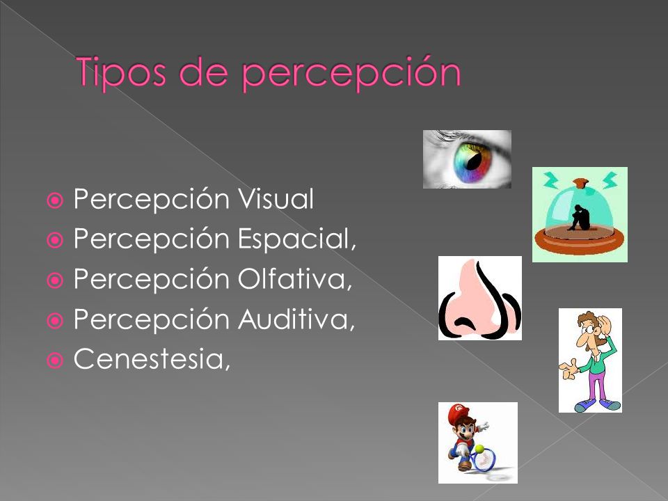 Tipos de percepción Percepción Visual Percepción Espacial,