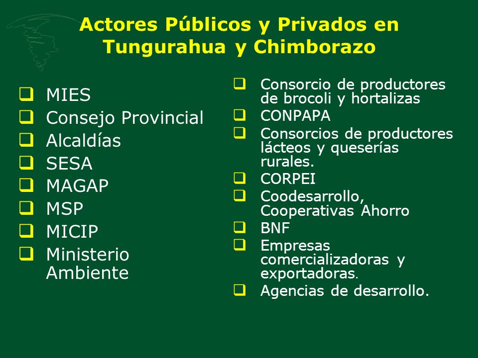 Actores Públicos y Privados en Tungurahua y Chimborazo