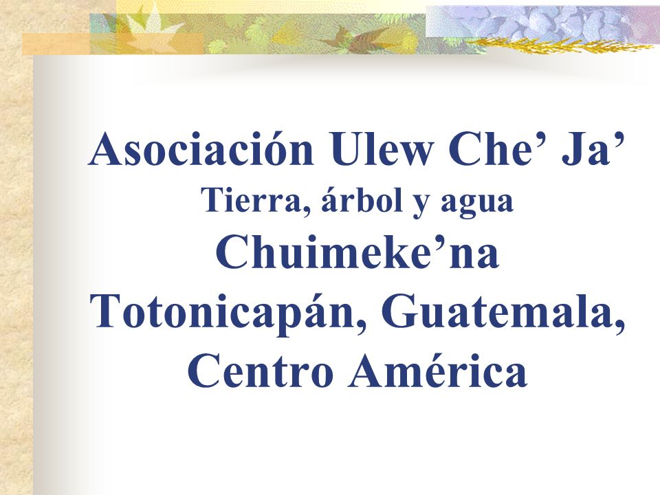 Asociación Ulew Che’ Ja’ Tierra, árbol y agua Chuimeke’na Totonicapán, Guatemala, Centro América