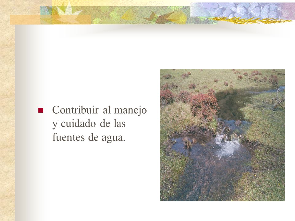 Contribuir al manejo y cuidado de las fuentes de agua.
