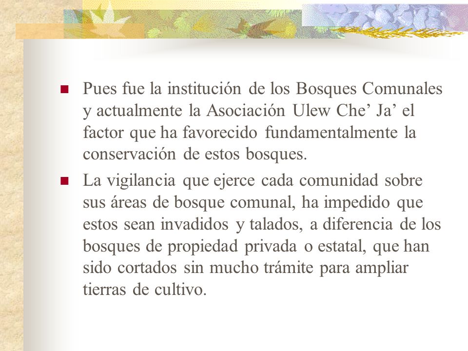 Pues fue la institución de los Bosques Comunales y actualmente la Asociación Ulew Che’ Ja’ el factor que ha favorecido fundamentalmente la conservación de estos bosques.