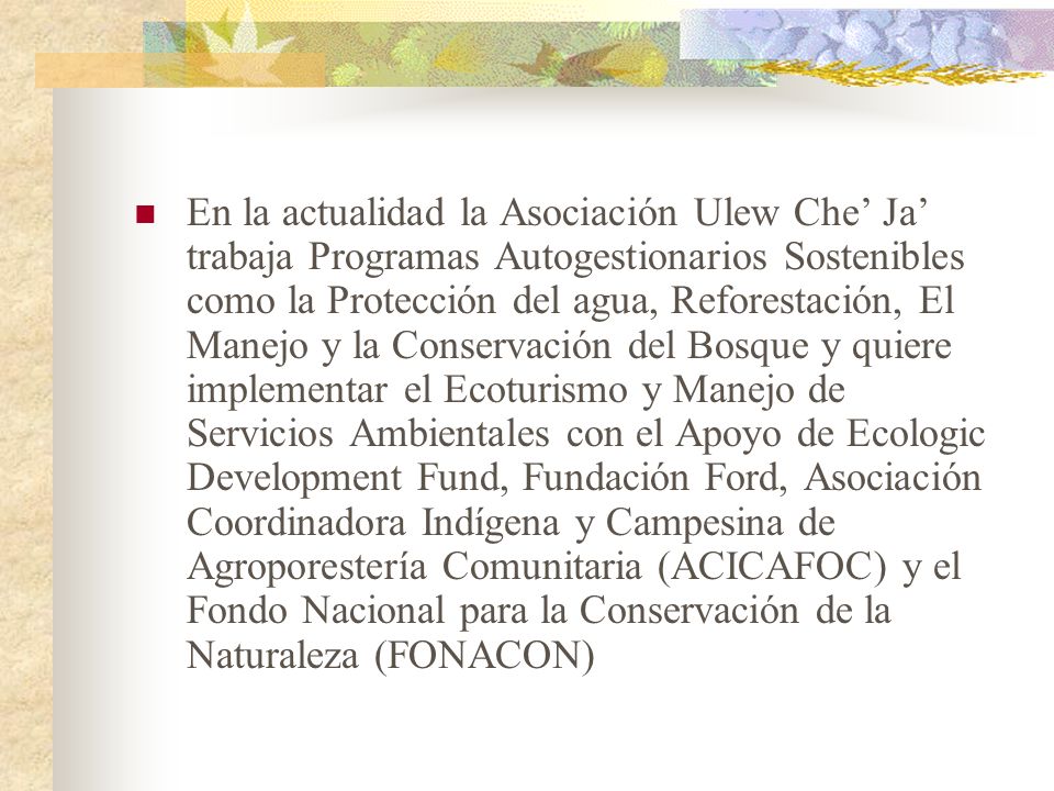 En la actualidad la Asociación Ulew Che’ Ja’ trabaja Programas Autogestionarios Sostenibles como la Protección del agua, Reforestación, El Manejo y la Conservación del Bosque y quiere implementar el Ecoturismo y Manejo de Servicios Ambientales con el Apoyo de Ecologic Development Fund, Fundación Ford, Asociación Coordinadora Indígena y Campesina de Agroporestería Comunitaria (ACICAFOC) y el Fondo Nacional para la Conservación de la Naturaleza (FONACON)