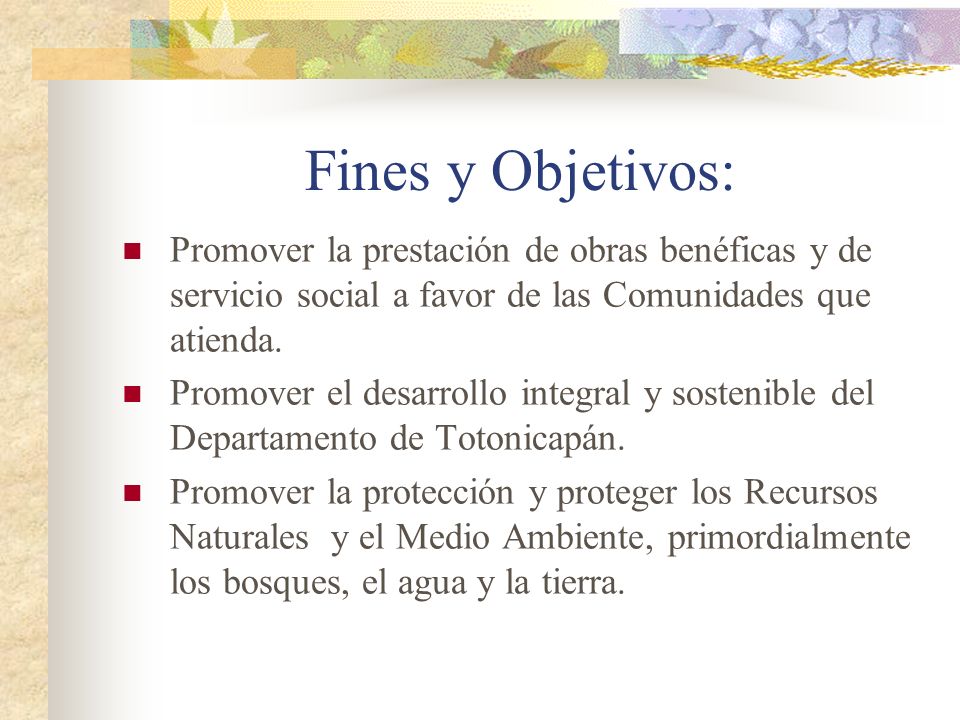Fines y Objetivos: Promover la prestación de obras benéficas y de servicio social a favor de las Comunidades que atienda.