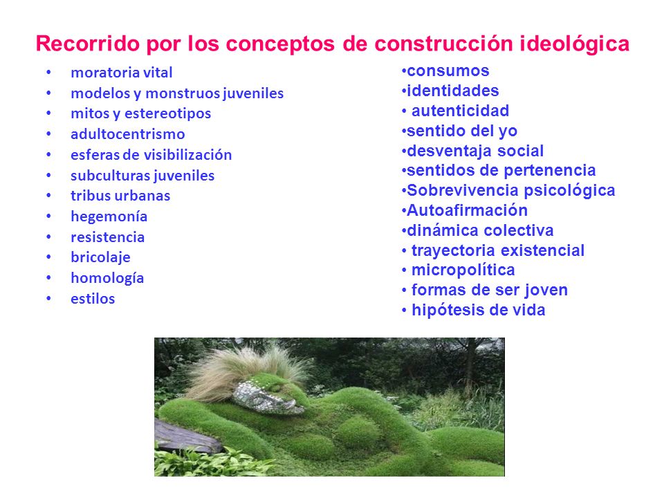 Recorrido por los conceptos de construcción ideológica