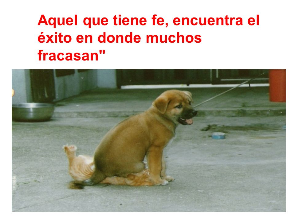 Aquel que tiene fe, encuentra el éxito en donde muchos fracasan
