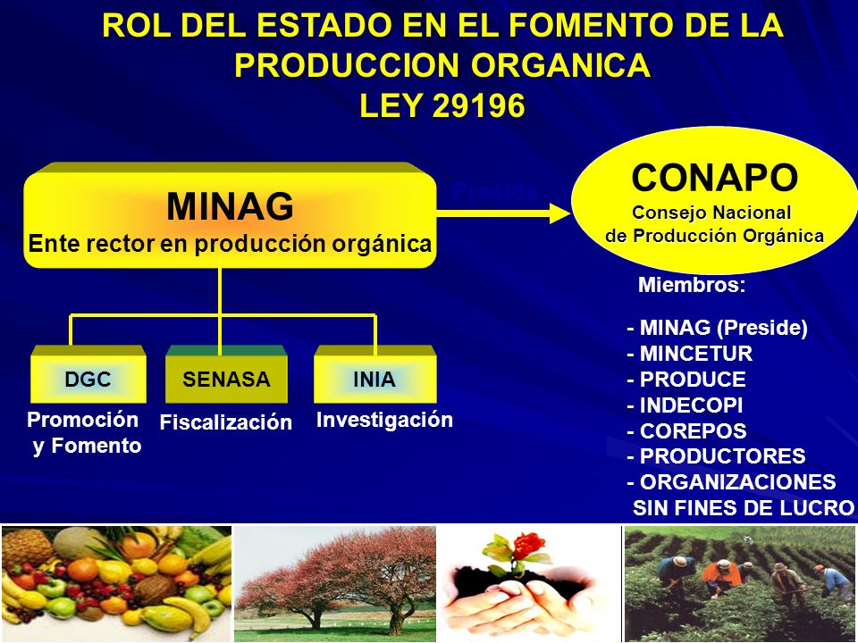 CONAPO MINAG ROL DEL ESTADO EN EL FOMENTO DE LA PRODUCCION ORGANICA