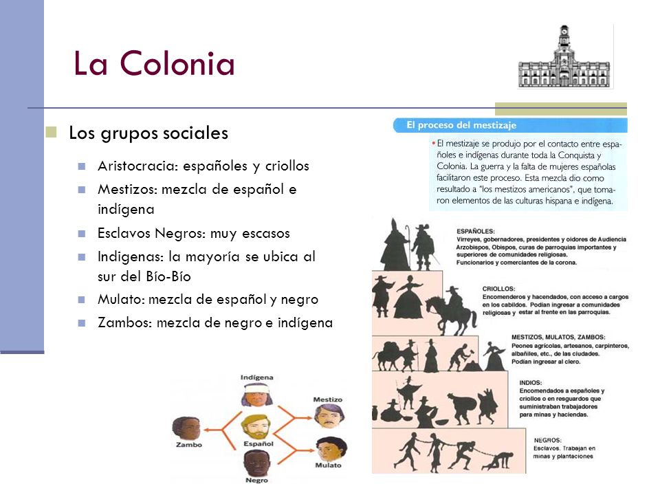 La Colonia Los grupos sociales Aristocracia: españoles y criollos