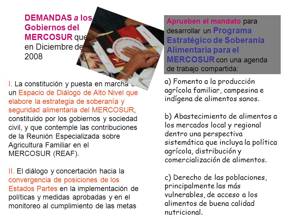 DEMANDAS a los Gobiernos del MERCOSUR que, en Diciembre de 2008