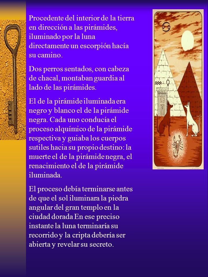 Procedente del interior de la tierra en dirección a las pirámides, iluminado por la luna directamente un escorpión hacía su camino.