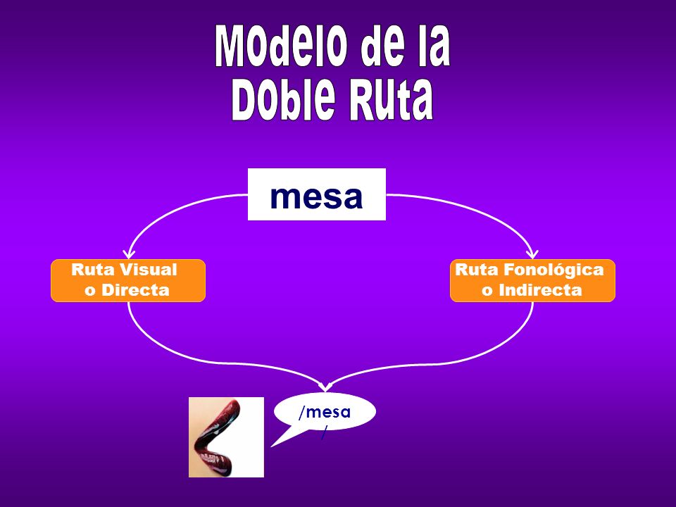 mesa Modelo de la Doble Ruta Ruta Visual o Directa Ruta Fonológica