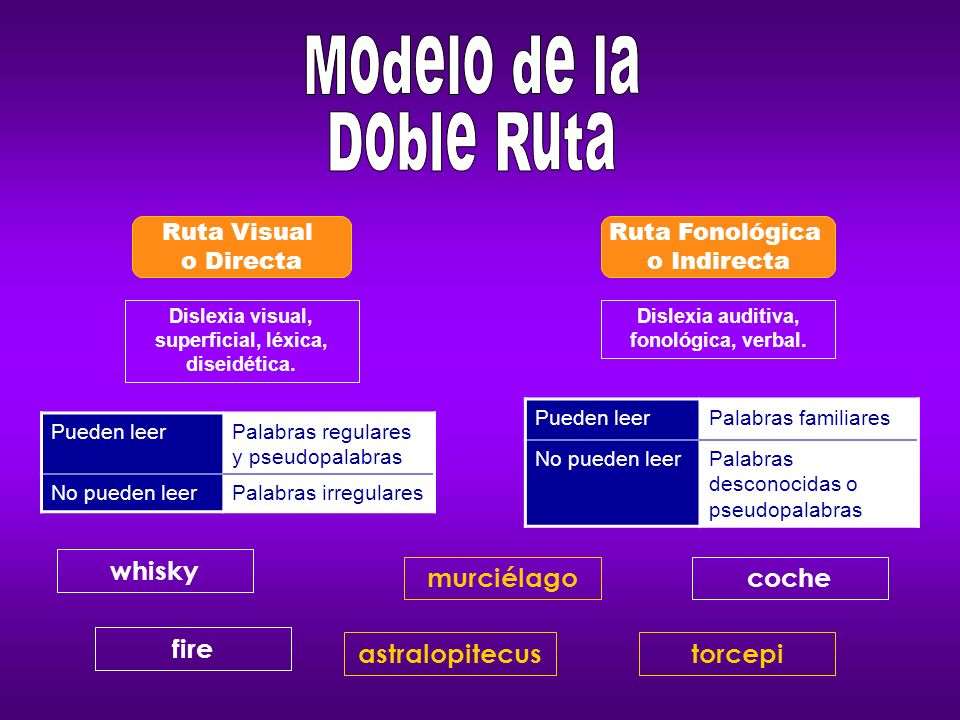 Modelo de la Doble Ruta whisky murciélago coche fire astralopitecus