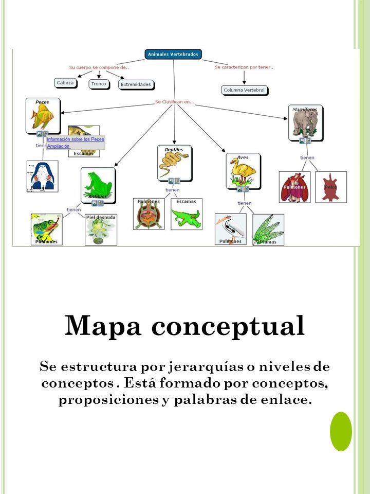 Mapa conceptual Se estructura por jerarquías o niveles de conceptos .