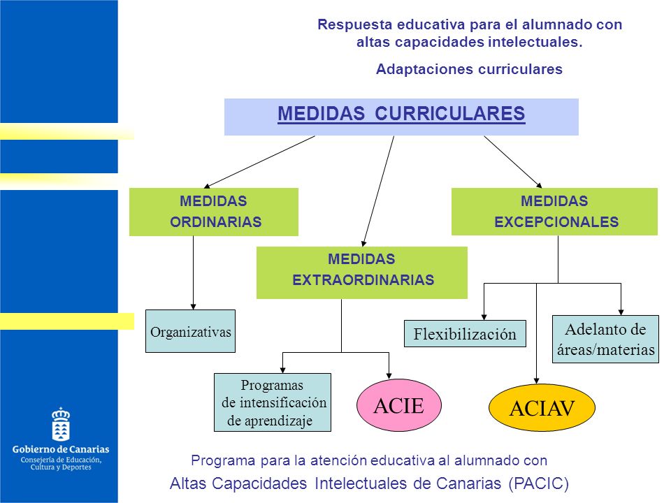 Adaptaciones curriculares