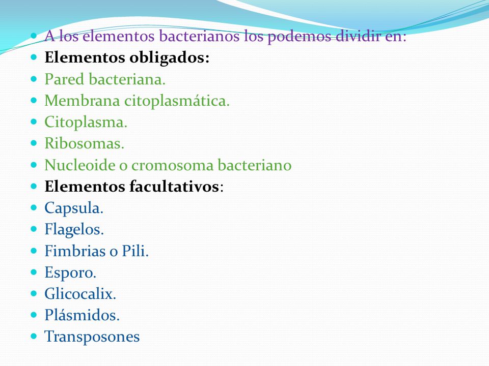 A los elementos bacterianos los podemos dividir en: