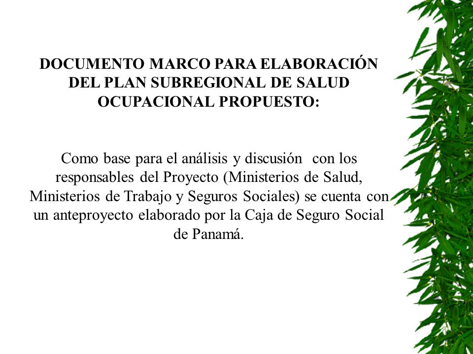 DOCUMENTO MARCO PARA ELABORACIÓN DEL PLAN SUBREGIONAL DE SALUD OCUPACIONAL PROPUESTO: