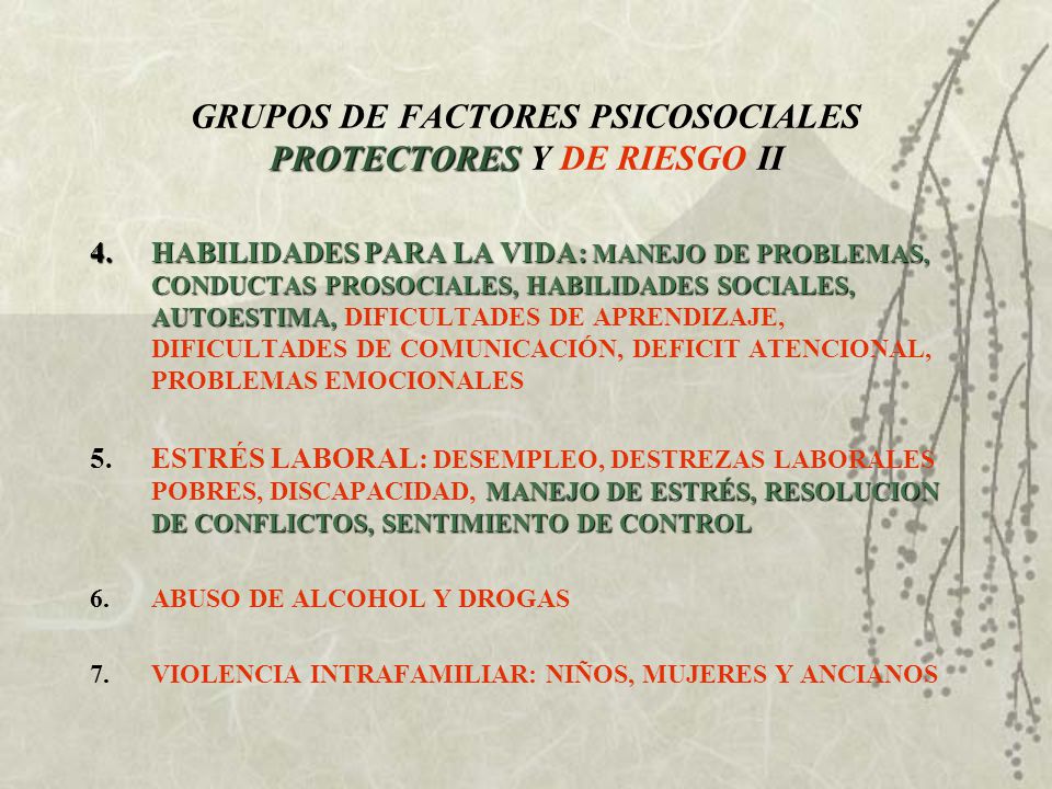 GRUPOS DE FACTORES PSICOSOCIALES PROTECTORES Y DE RIESGO II