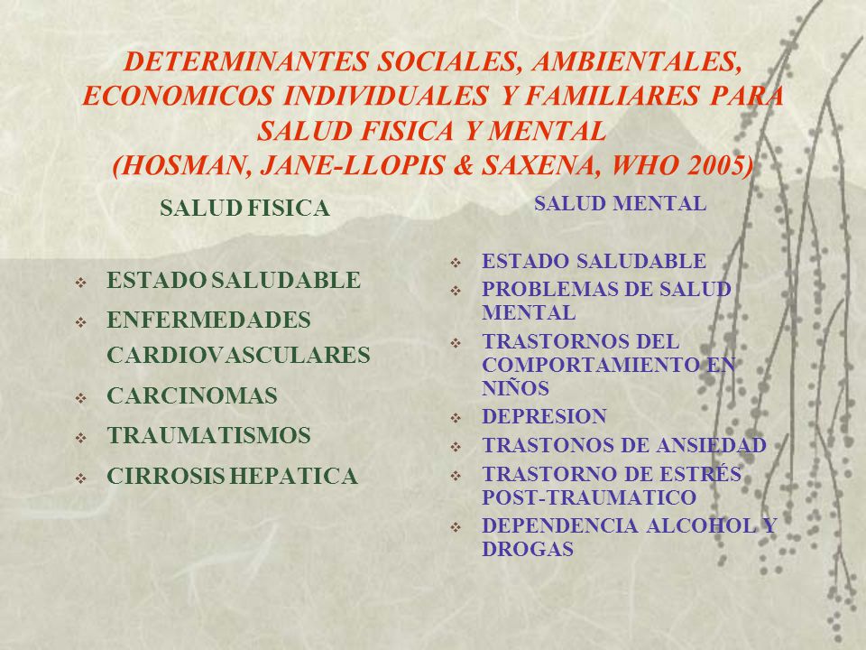 DETERMINANTES SOCIALES, AMBIENTALES, ECONOMICOS INDIVIDUALES Y FAMILIARES PARA SALUD FISICA Y MENTAL (HOSMAN, JANE-LLOPIS & SAXENA, WHO 2005)
