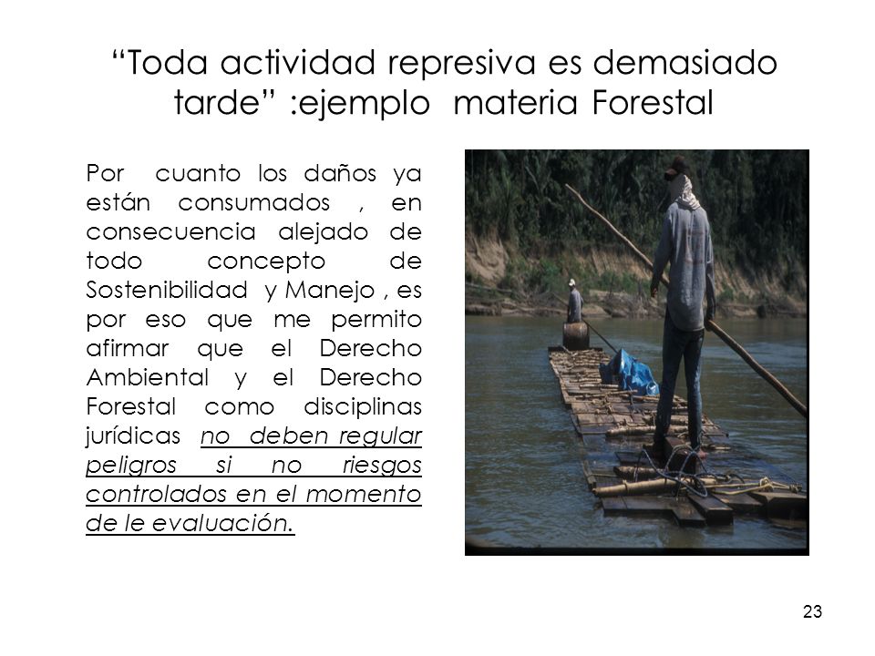 Toda actividad represiva es demasiado tarde :ejemplo materia Forestal