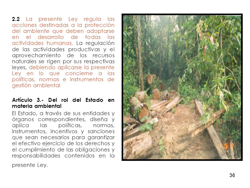 2.2 La presente Ley regula las acciones destinadas a la protección del ambiente que deben adoptarse en el desarrollo de todas las actividades humanas. La regulación de las actividades productivas y el aprovechamiento de los recursos naturales se rigen por sus respectivas leyes, debiendo aplicarse la presente Ley en lo que concierne a las políticas, normas e instrumentos de gestión ambiental