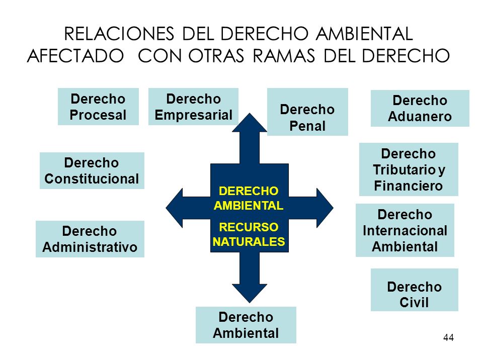RELACIONES DEL DERECHO AMBIENTAL AFECTADO CON OTRAS RAMAS DEL DERECHO
