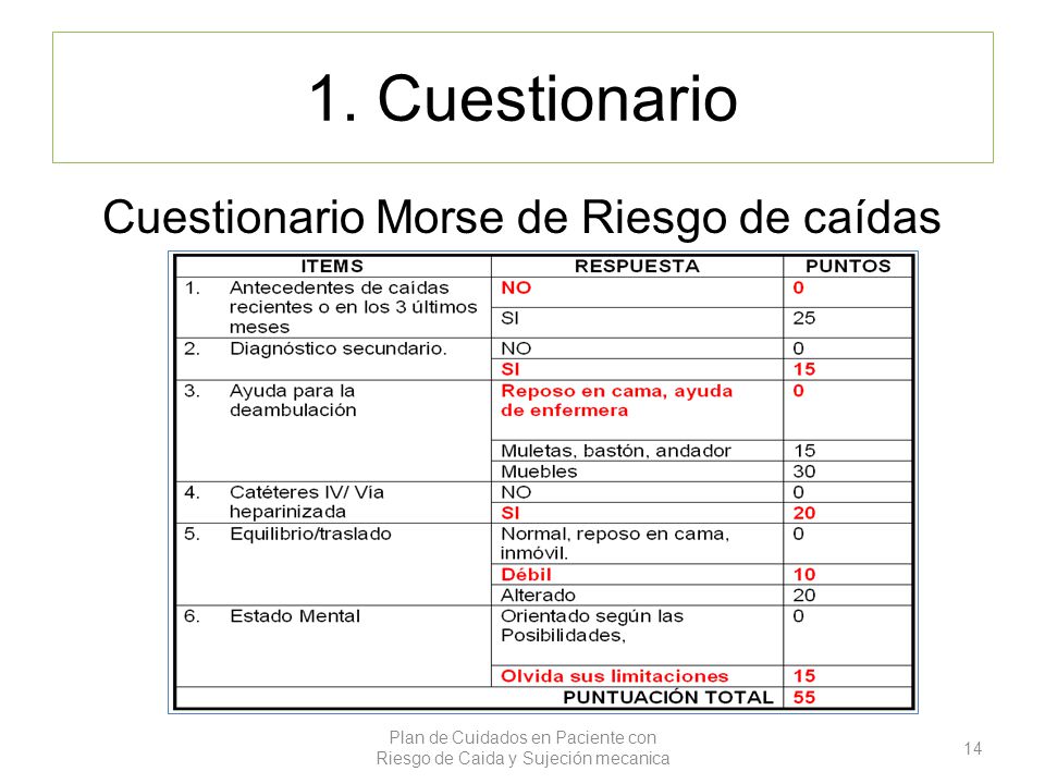 Plan de Cuidados en Paciente con Riesgo de Caida y Sujeción mecanica