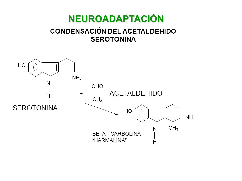 CONDENSACIÓN DEL ACETALDEHIDO