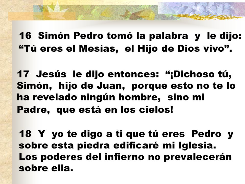 16 Simón Pedro tomó la palabra y le dijo: Tú eres el Mesías, el Hijo de Dios vivo .