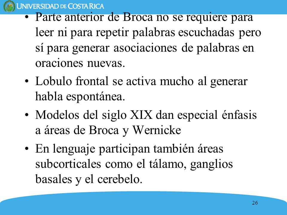 Parte anterior de Broca no se requiere para leer ni para repetir palabras escuchadas pero sí para generar asociaciones de palabras en oraciones nuevas.