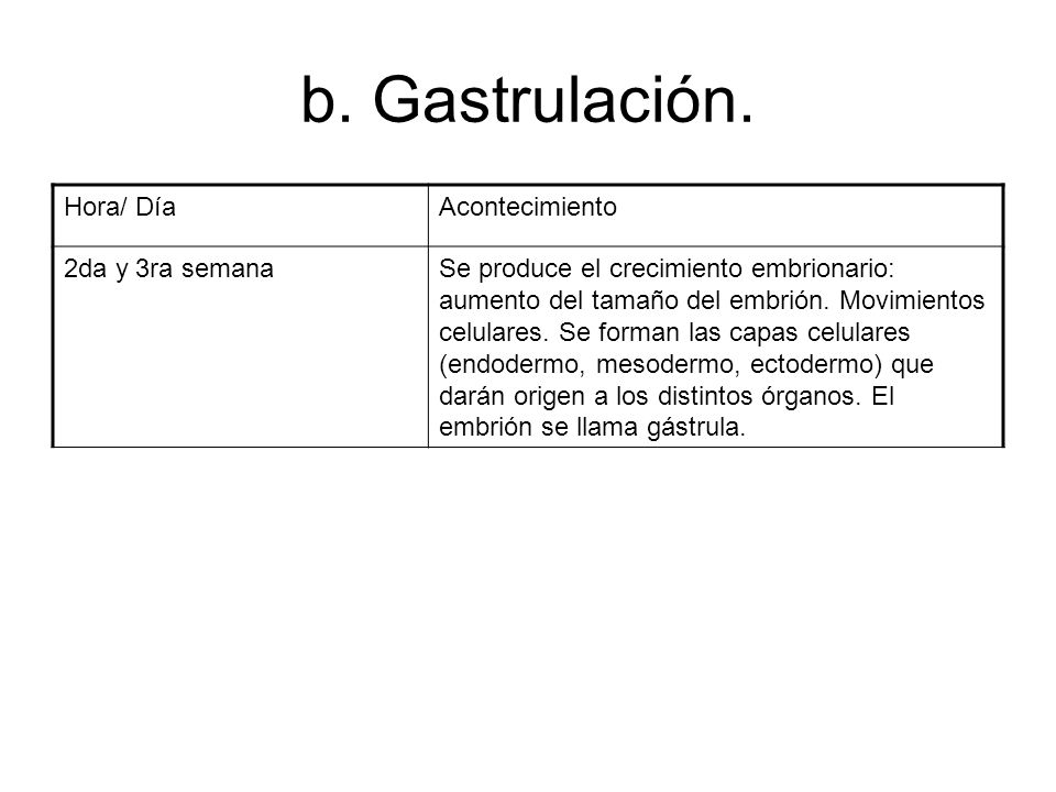 b. Gastrulación. Hora/ Día Acontecimiento 2da y 3ra semana