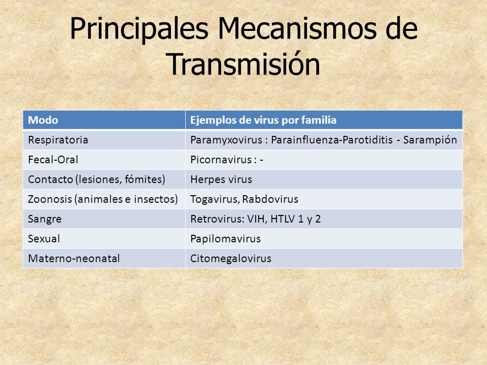 Principales Mecanismos de Transmisión