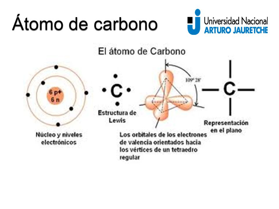 Átomo de carbono