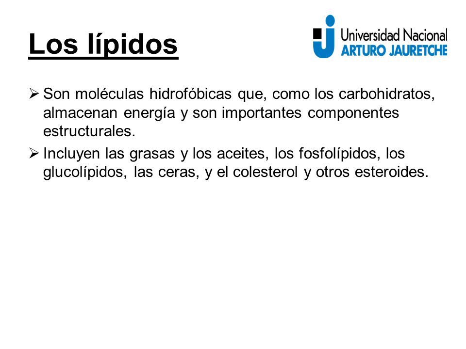 Los lípidos Son moléculas hidrofóbicas que, como los carbohidratos, almacenan energía y son importantes componentes estructurales.