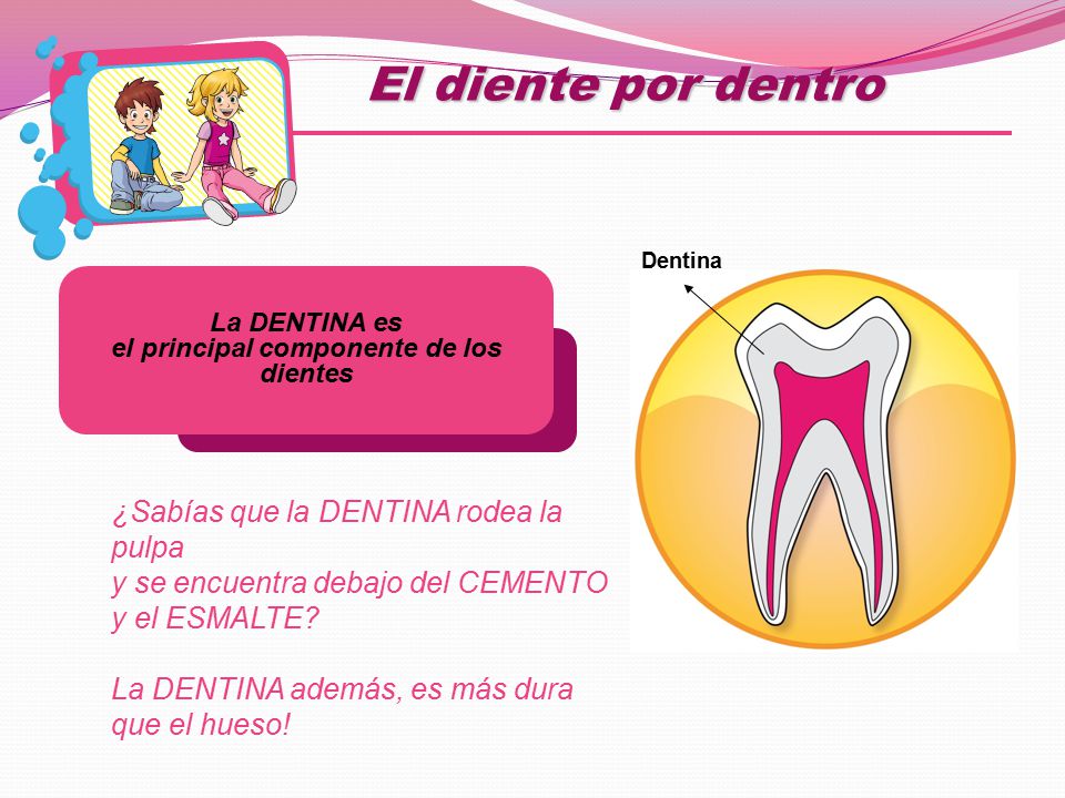 el principal componente de los dientes