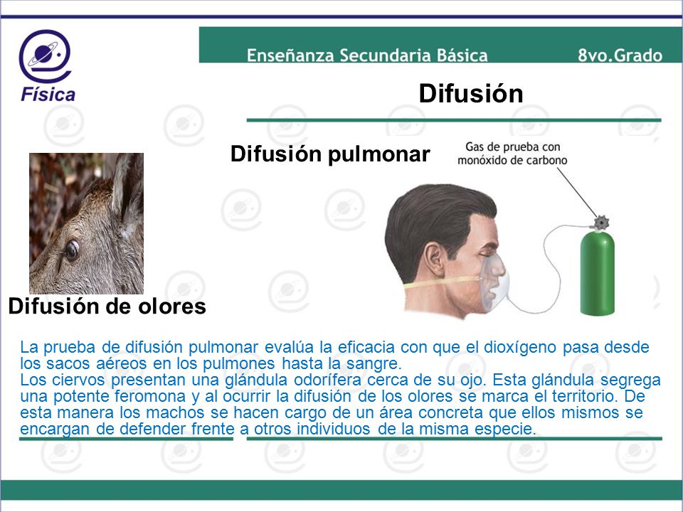 Difusión Difusión pulmonar Difusión de olores