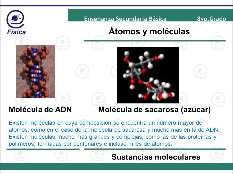 Átomos y moléculas Molécula de ADN Molécula de sacarosa (azúcar)