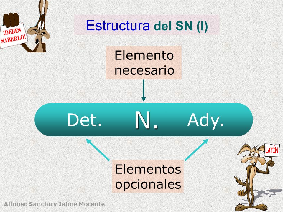 N. Det. Ady. Estructura del SN (I) Elemento necesario