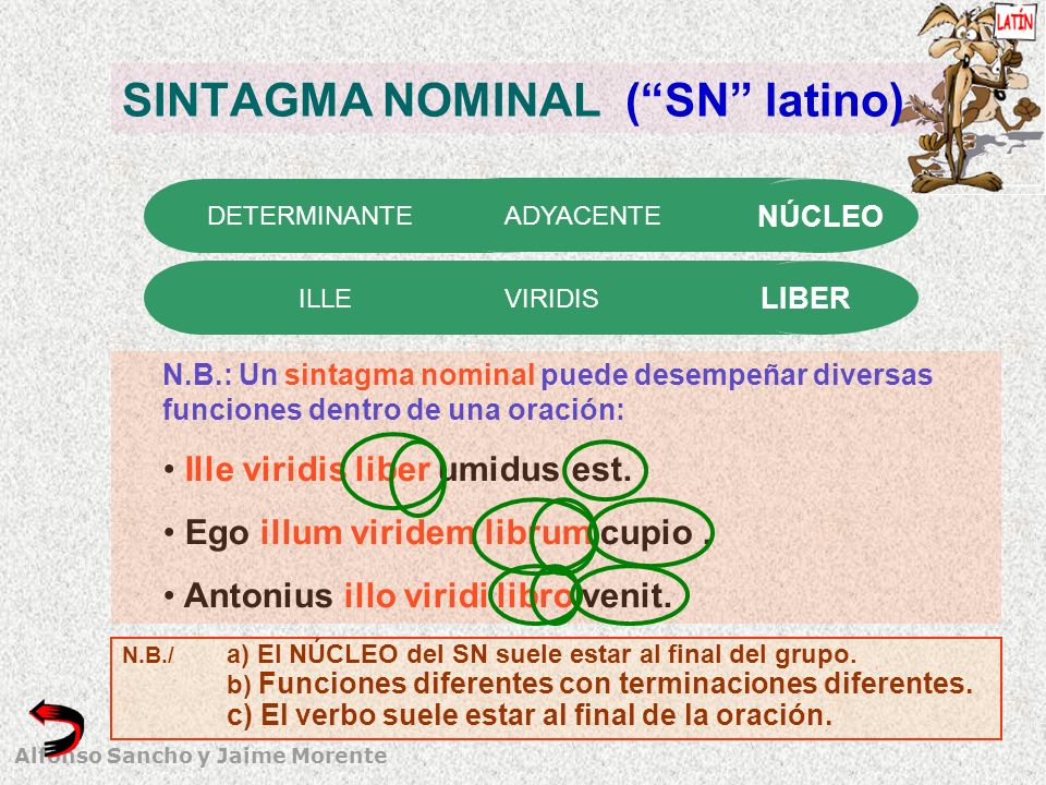 SINTAGMA NOMINAL ( SN latino)