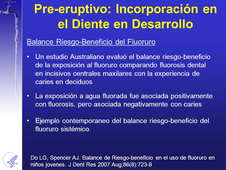 Pre-eruptivo: Incorporación en el Diente en Desarrollo