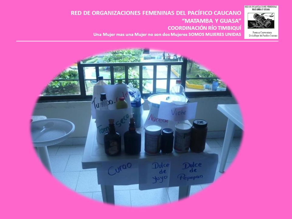 RED DE ORGANIZACIONES FEMENINAS DEL PACÍFICO CAUCANO MATAMBA Y GUASA