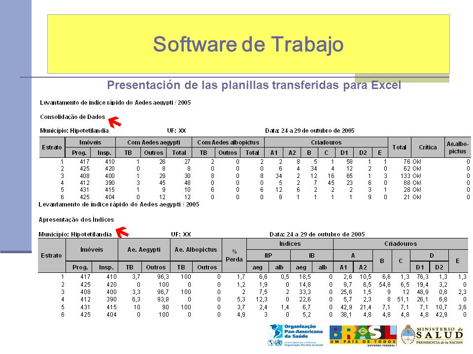 Software de Trabajo Presentación de las planillas transferidas para Excel  