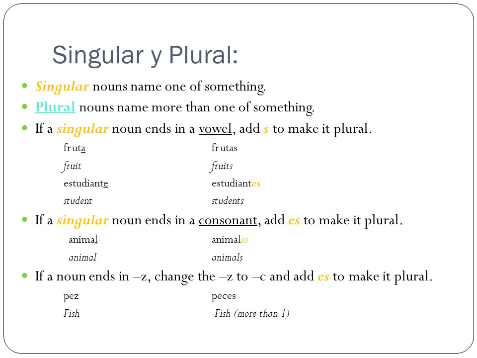 Singular y Plural: Singular nouns name one of something.