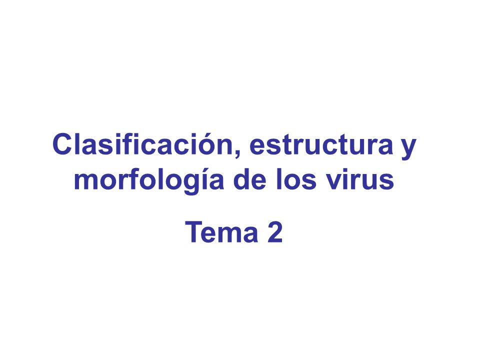 Clasificación, estructura y morfología de los virus
