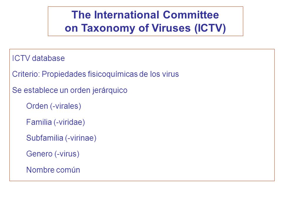 The International Committee on Taxonomy of Viruses (ICTV)