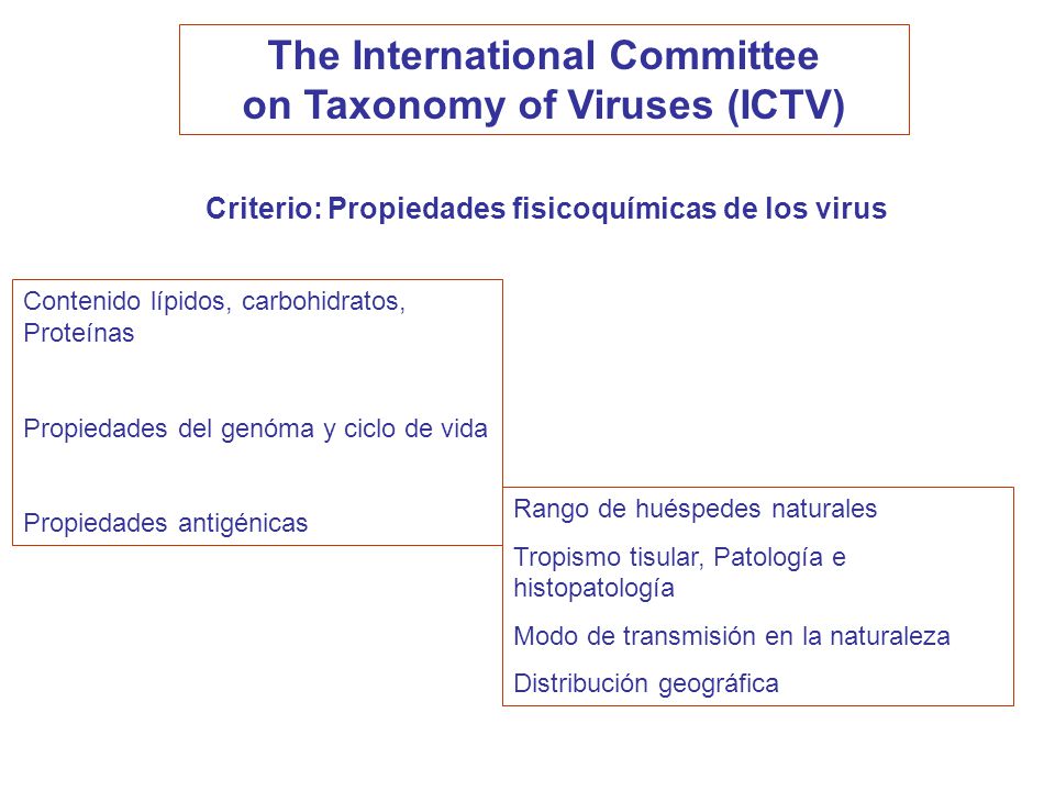 The International Committee on Taxonomy of Viruses (ICTV)
