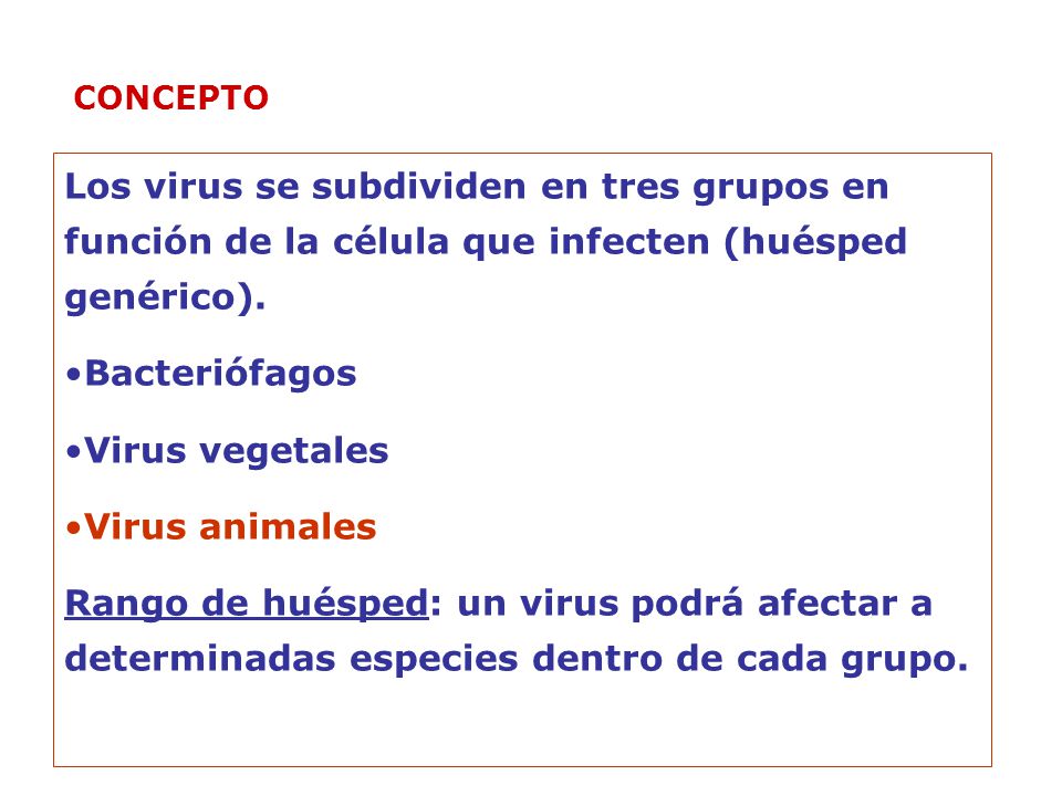 CONCEPTO Los virus se subdividen en tres grupos en función de la célula que infecten (huésped genérico).