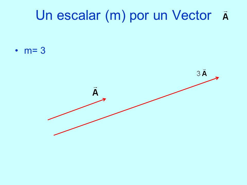 Un escalar (m) por un Vector