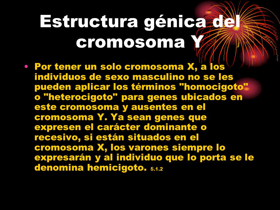 Estructura génica del cromosoma Y