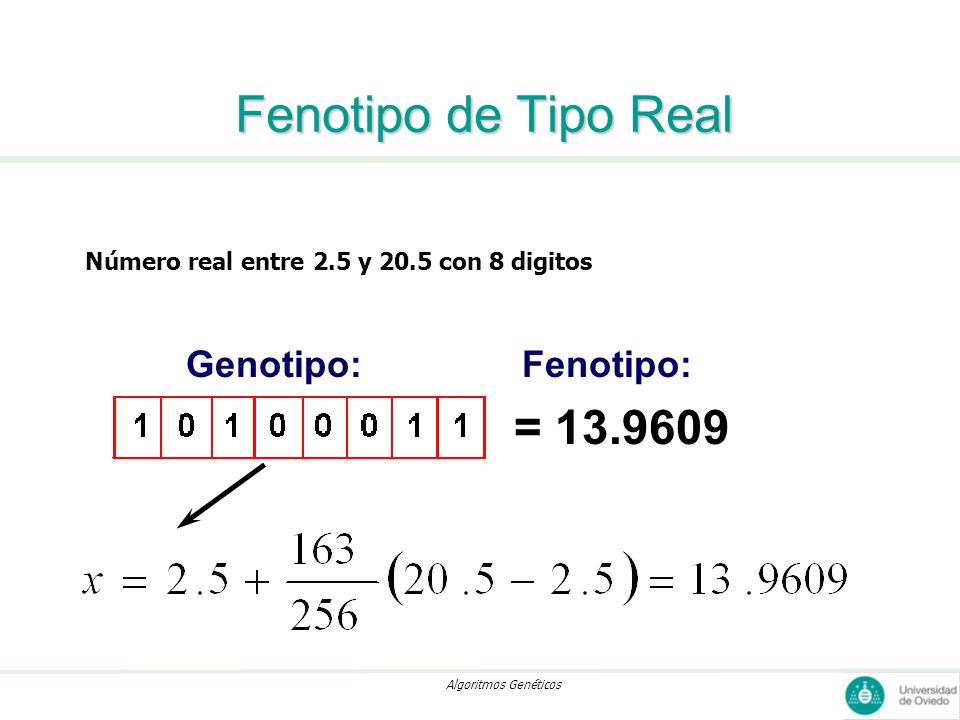 Fenotipo de Tipo Real = Genotipo: Fenotipo: