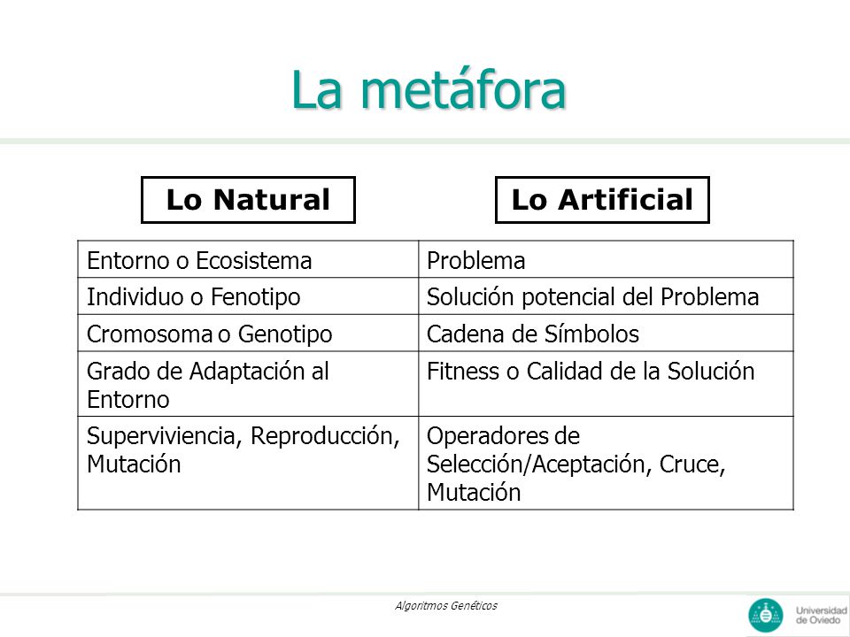 La metáfora Lo Natural Lo Artificial Entorno o Ecosistema Problema